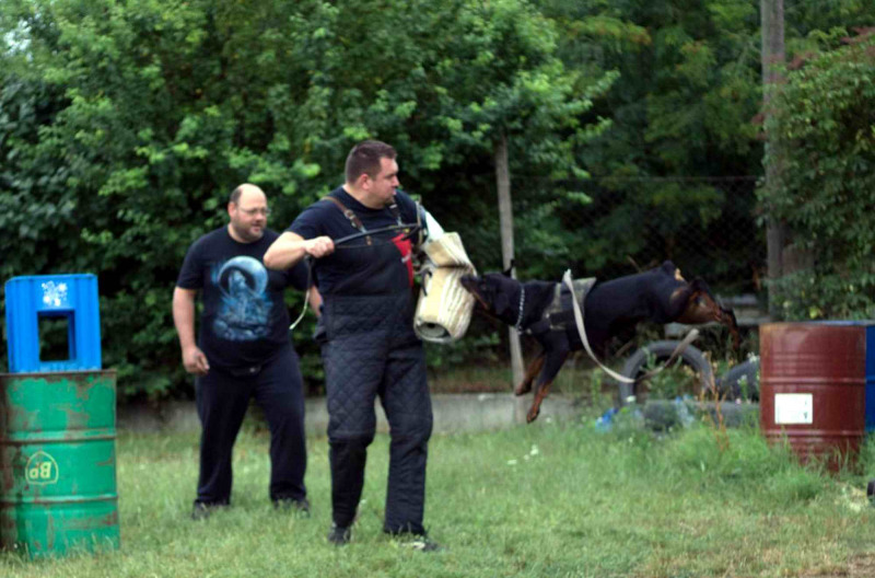 Sándor, Hajdúszoboszló Sándor, Hajdúszoboszló