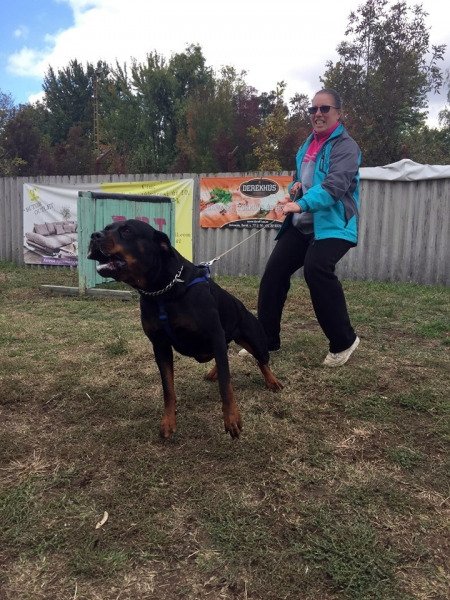 Sándor, Hajdúszoboszló Sándor, Hajdúszoboszló