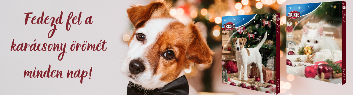 Adventi naptár 3.11.2025