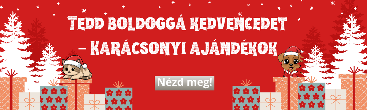 Karácsonyi ajándékok 18.11.2025