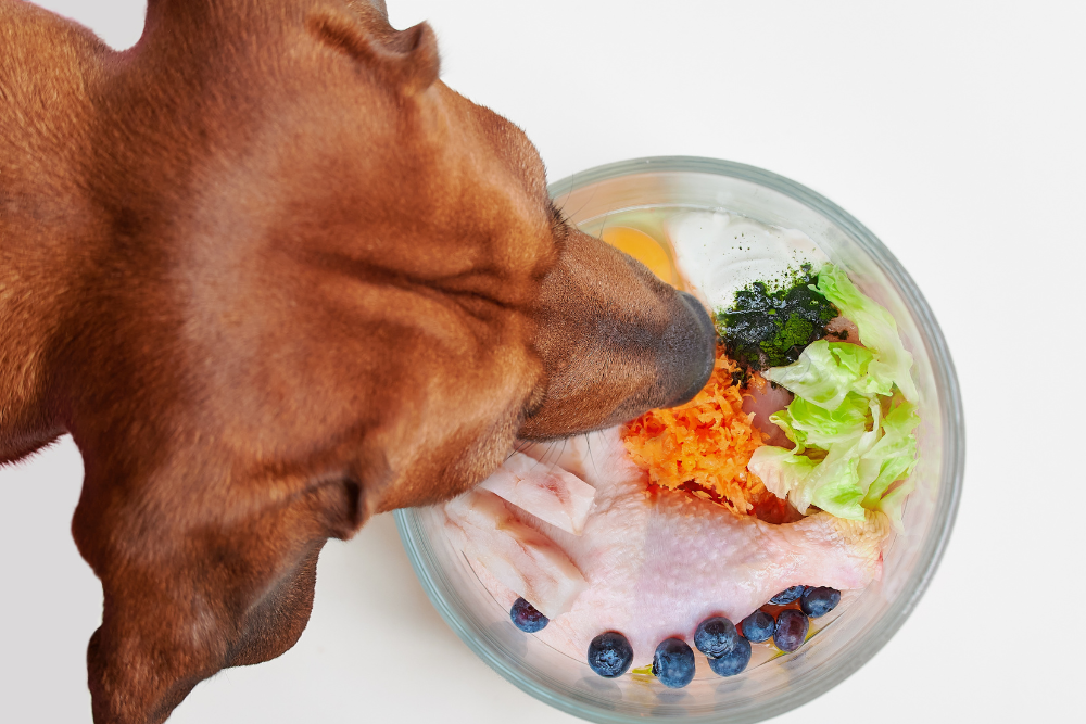 Nyers hús kutyáknak - Ehetnek-e a kutyák nyers húst?