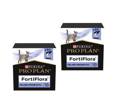 PRO PLAN FortiFlora Probiotikus kiegészítő macskáknak 60x1g