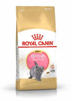 ROYAL CANIN Brit rövidszőrű cica 10kg